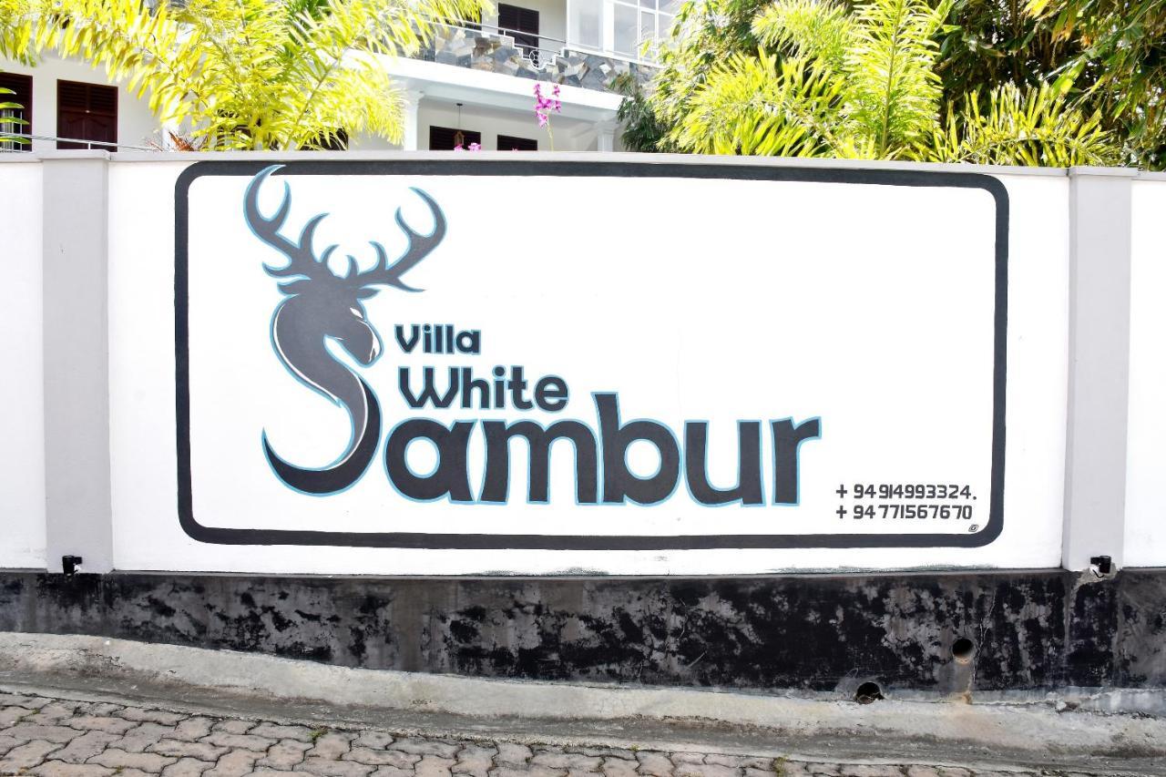 Villa De White Sambur Hikkaduwa Exterior photo